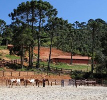 HARAS/TERRENO/SITIO EM SANTO ANTONIO DO PINHAL REF 1594