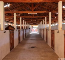 HARAS/SITIO/TERRENO EM SANTO ANTONIO DO PINHAL REF 1592