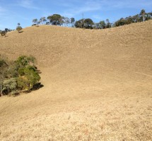 TERRENO EM SANTO ANTONIO DO PINHAL REF: 3011