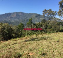TERRENO EM SANTO ANTONIO DO PINHAL REF: 3416