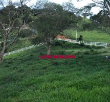 TERRENO EM SANTO ANTONIO DO PINHAL REF: 8055