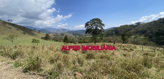 TERRENO EM SANTO ANTONIO DO PINHAL REF: 8032