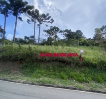 TERRENO EM SANTO ANTONIO DO PINHAL REF: 8075
