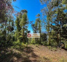 TERRENO EM SANTO ANTÔNIO DO PINHAL REF 8134